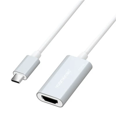 USB C HDmi Ipad